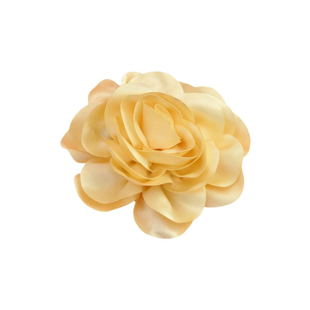 Cream Color